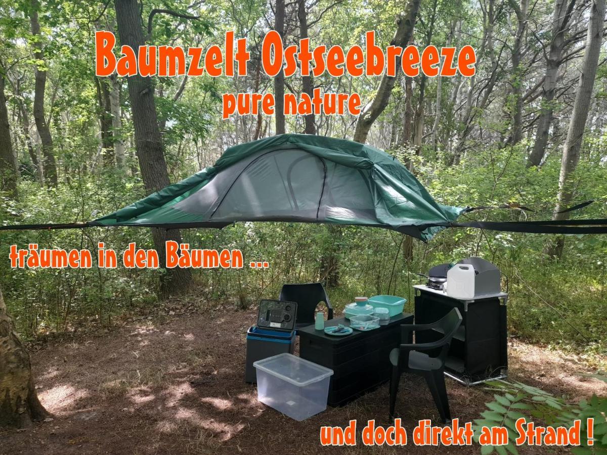 Baumzeltdorf Ostseebreeze Direkt Am Strand Dranske Exteriér fotografie