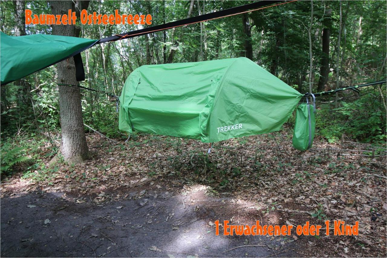 Baumzeltdorf Ostseebreeze Direkt Am Strand Dranske Exteriér fotografie