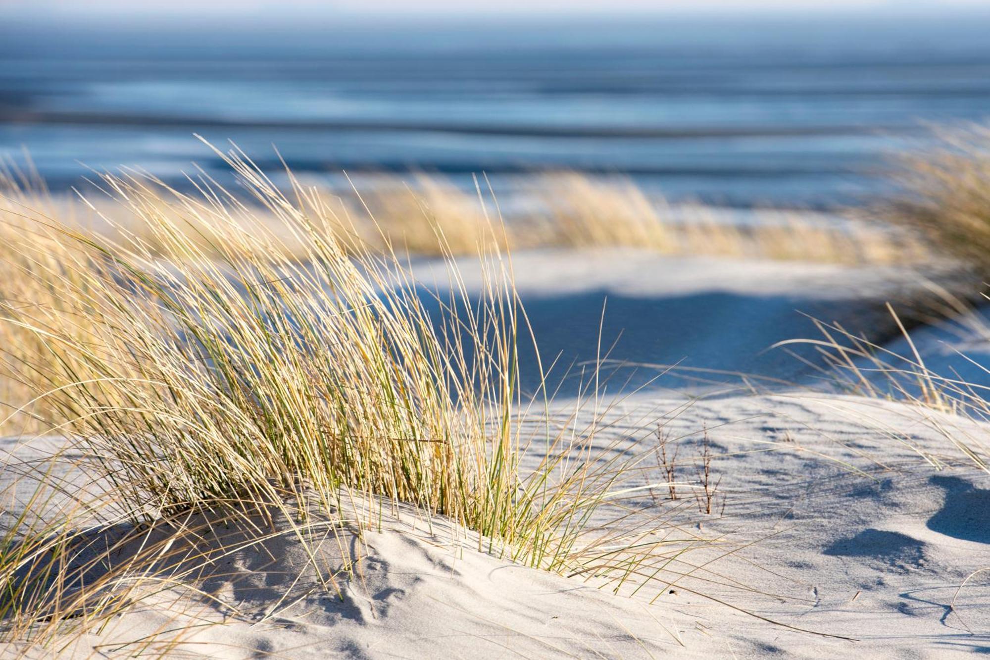 Baumzeltdorf Ostseebreeze Direkt Am Strand Dranske Exteriér fotografie