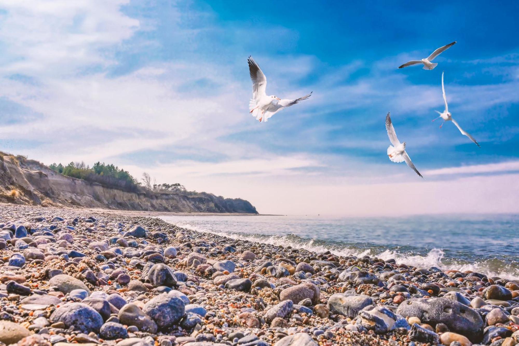 Baumzeltdorf Ostseebreeze Direkt Am Strand Dranske Exteriér fotografie